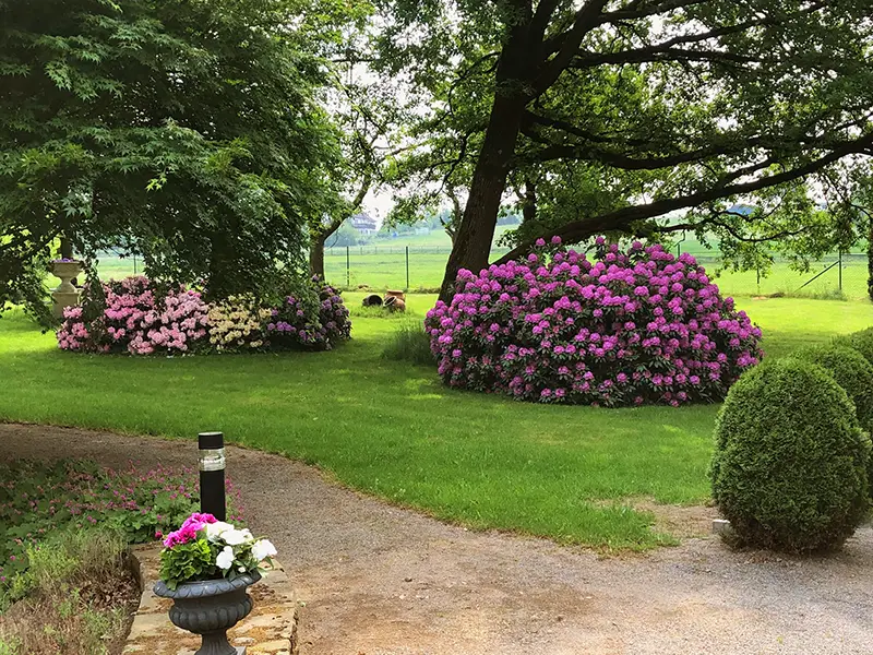 Landhaus im Park - Teich