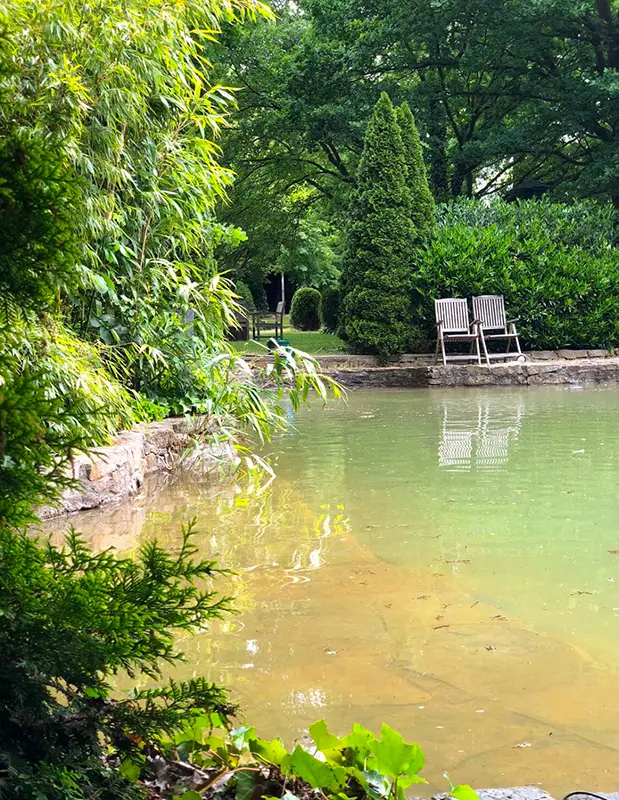 Landhaus im Park - Schwimmteich